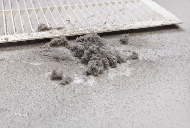 Best Air Duct Cleaning Near Me  in Botkins, OH