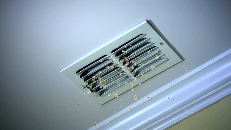 Best Air Duct Cleaning Company Near Me  in Botkins, OH