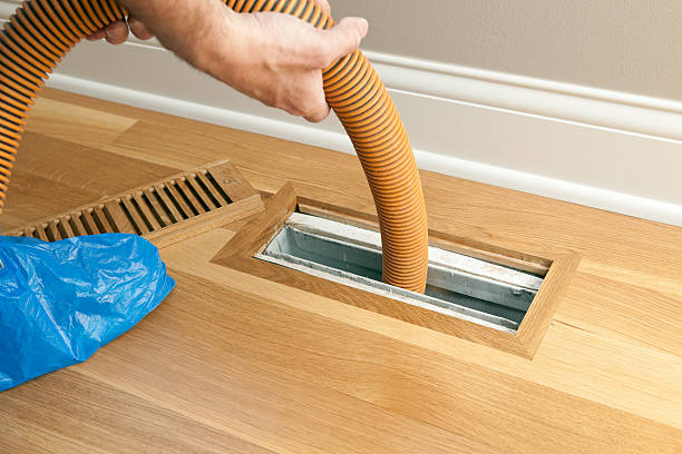 Best Air Vent Cleaning Services  in Botkins, OH